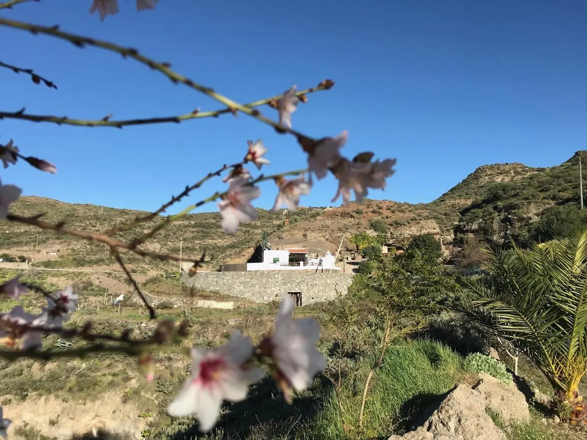 Hostal Casa Cueva El Caidero Artenara Casa rural